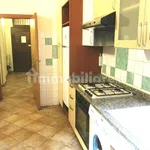 Rent 1 bedroom house of 21 m² in Siena