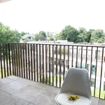 Rent 1 bedroom apartment in Turnhout