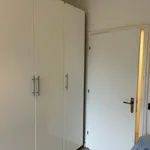 Rent 5 bedroom apartment in Milan