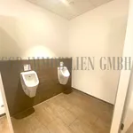 Rent 7 bedroom house of 380 m² in Bremen