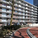 Huur 3 slaapkamer appartement van 70 m² in Tilburg