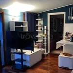 Rent 2 bedroom apartment of 50 m² in Milano