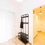 Rent a room of 115 m² in Milan