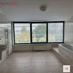 Rent 4 bedroom apartment in Hradec Králové