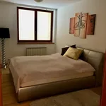 Rent 3 bedroom apartment in Brno