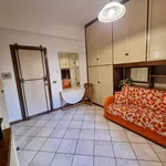 Rent 1 bedroom apartment of 23 m² in Roma