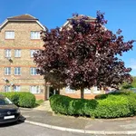 Rent 1 bedroom flat in London