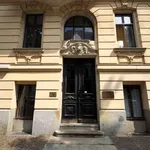 Rent 3 bedroom apartment of 158 m² in Leipzig