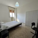 Rent 1 bedroom apartment of 110 m² in modena