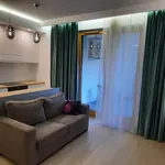 Rent 2 bedroom apartment of 35 m² in Krakow