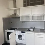 Rent 1 bedroom apartment of 45 m² in Ostrava