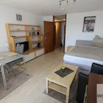 Miete 1 Schlafzimmer wohnung von 30 m² in Nuremberg