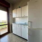 Rent 3 bedroom apartment of 110 m² in Roma