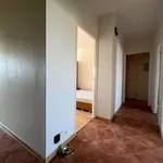 Rent 4 bedroom apartment of 65 m² in Poznan