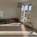 Rent 2 bedroom apartment in Prague