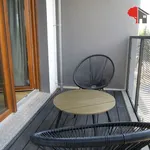 Rent 1 bedroom apartment of 31 m² in Poznan