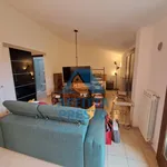 Rent 1 bedroom apartment of 50 m² in Pisa