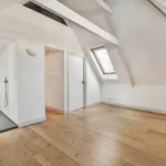 Rent 5 bedroom apartment of 200 m² in Museumkwartier