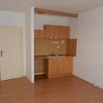 Rent 1 bedroom apartment in Ostrava