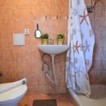 Rent 1 bedroom apartment of 1 m² in Brno