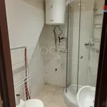 Rent 1 bedroom apartment in Jablonec nad Nisou