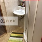 Rent 2 bedroom apartment of 45 m² in Zlín