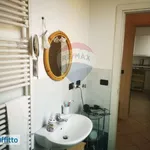 Rent 3 bedroom apartment of 80 m² in Bologna