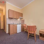 Rent 1 bedroom apartment of 25 m² in Praha