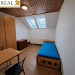 Rent 1 bedroom apartment in Žďár nad Sázavou