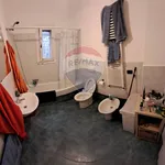 Rent 3 bedroom apartment of 85 m² in Bologna