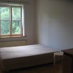 Rent 4 bedroom apartment of 135 m² in Krakow