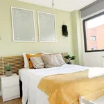 Rent a room in madrid