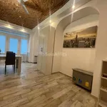 Rent 2 bedroom apartment of 50 m² in Torino