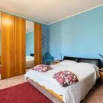 Rent 1 bedroom apartment in Bologna