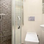 Rent 1 bedroom apartment in Praha 7