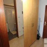 Miete 1 Schlafzimmer wohnung von 30 m² in Nuremberg