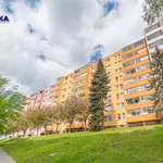 Rent 2 bedroom apartment in Přerov