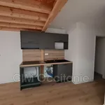 Rent 2 bedroom apartment of 44 m² in Toulouse