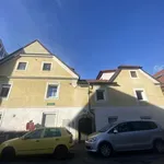 Miete 1 Schlafzimmer wohnung von 32 m² in Graz