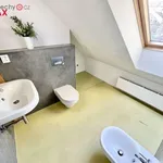 Rent 4 bedroom apartment of 75 m² in Praha