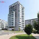 Rent 4 bedroom apartment of 81 m² in Trhový Štěpánov