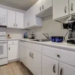 Rent 1 bedroom apartment in San Antonio