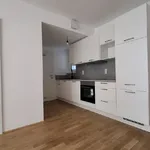 Rent 1 bedroom apartment of 44 m² in Graz