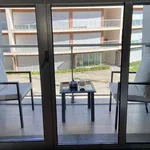 Rent 1 bedroom apartment in lisbon