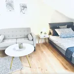 Rent 1 bedroom apartment of 26 m² in Friedrichsdorf