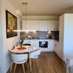 Rent 1 bedroom apartment of 74 m² in hamburg