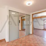 Pronajměte si 4 ložnic/e byt o rozloze 250 m² v Prague