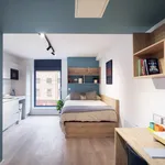 Rent 1 bedroom flat in Belfast