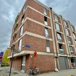 Rent 1 bedroom apartment in Leuven