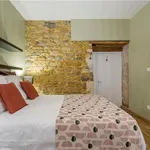 Rent 3 bedroom apartment of 60 m² in Lyon